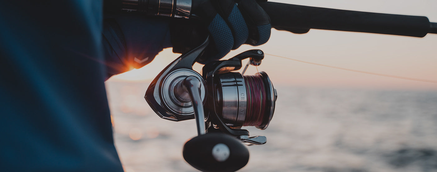 Reels